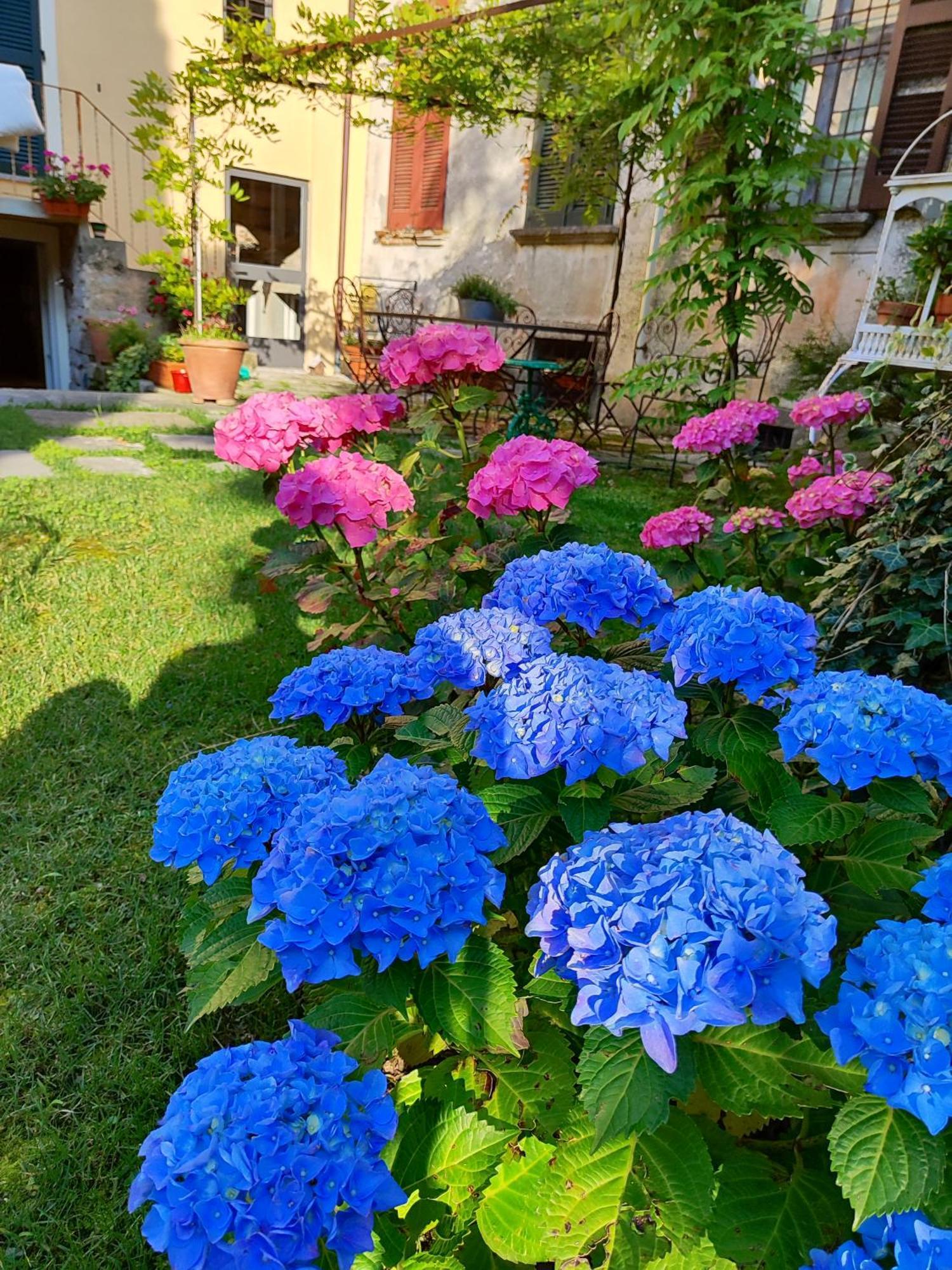 Casa Lumaca Bed & Breakfast Tremezzo Exterior photo