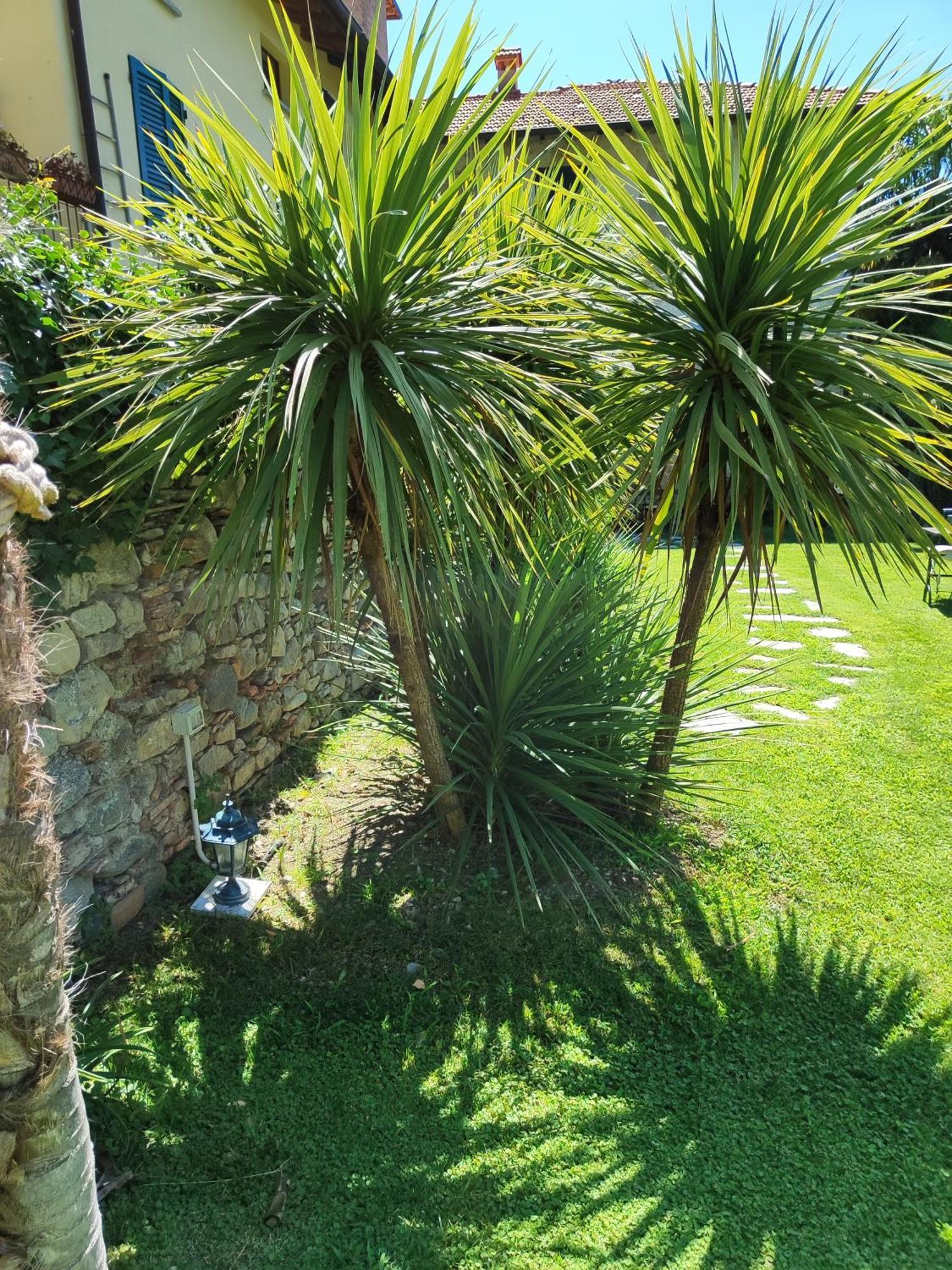 Casa Lumaca Bed & Breakfast Tremezzo Exterior photo